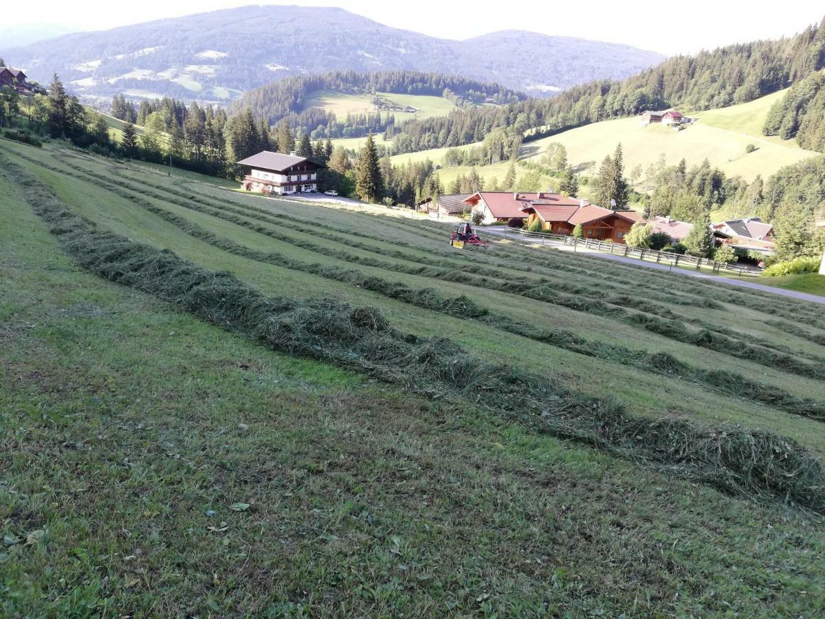 Vorderwiesgut Altenmarkt im Pongau Eksteriør bilde